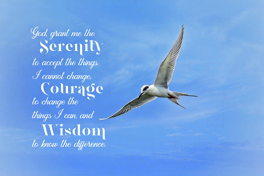 Serenity Courage Wisdom Photograph by HH Photography of Florida