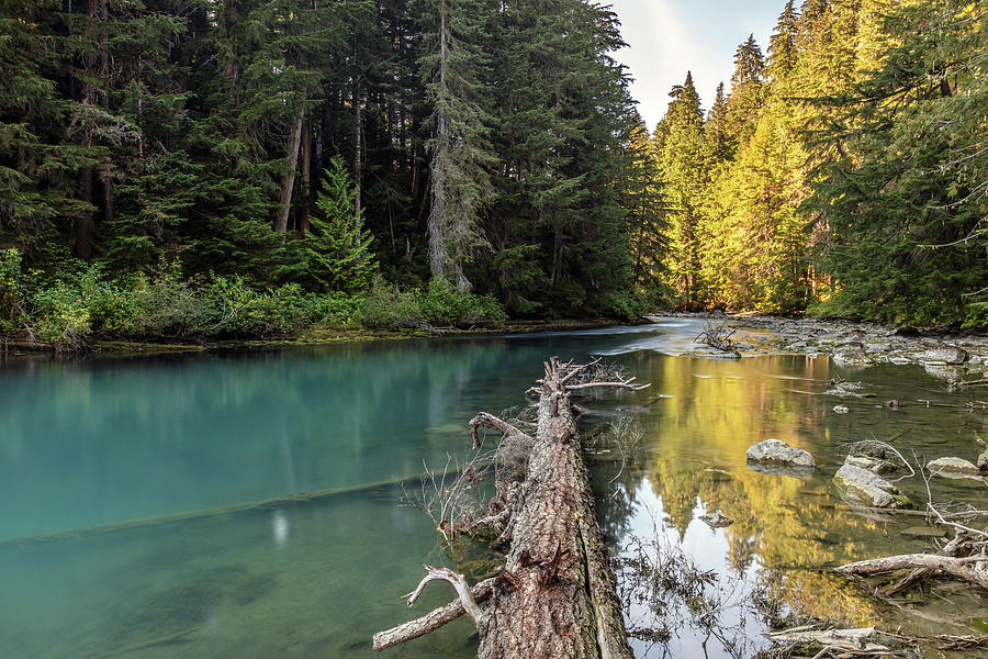 Serenity of Cheakamus River in Whistler, BC Photograph by Pierre Leclerc Photography