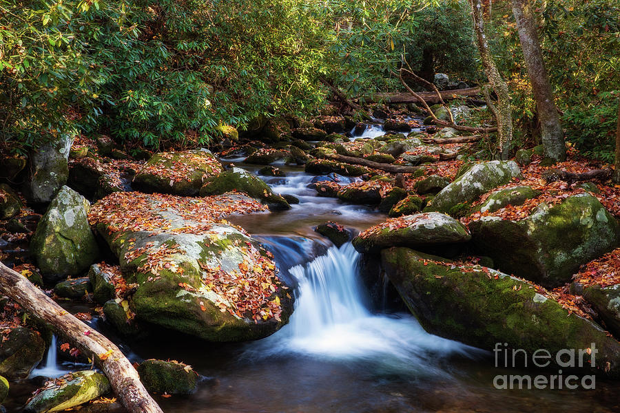 Nature Photograph - Serenity of Roaring Fork by Scott Pellegrin
