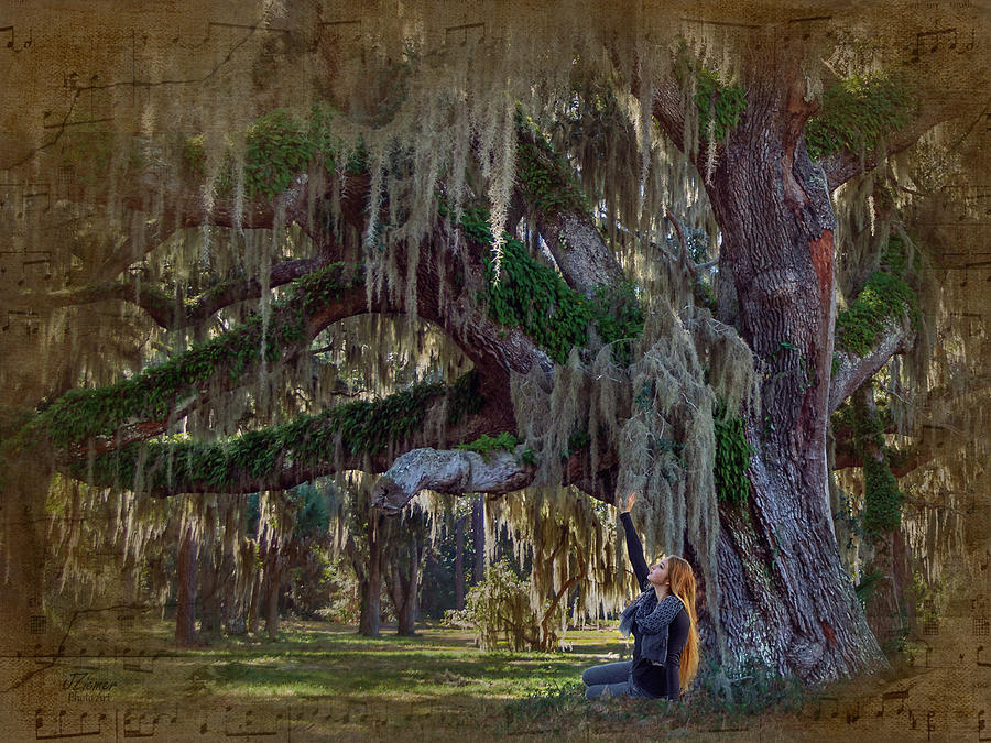 Landscape Photograph - Serenity of the Oaks by Jim Ziemer