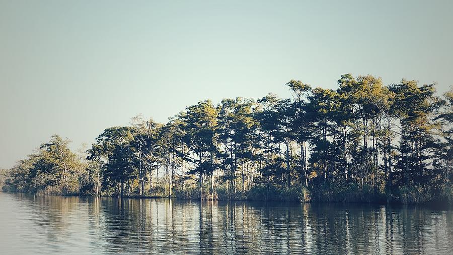 Serenity on the Apalachicola River Photograph by Carla Parris