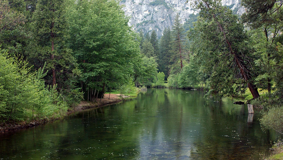 Serenity on The Merced River, Yosemite National Park, California Photograph by Bonnie Colgan