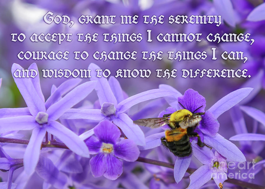 Serenity Prayer with Bumblebee Photograph by Olga Hamilton