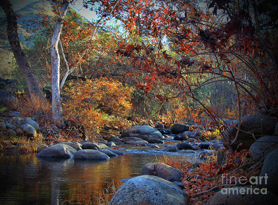 Serenity Warm Fall Colors with River Photograph by Stephanie Laird
