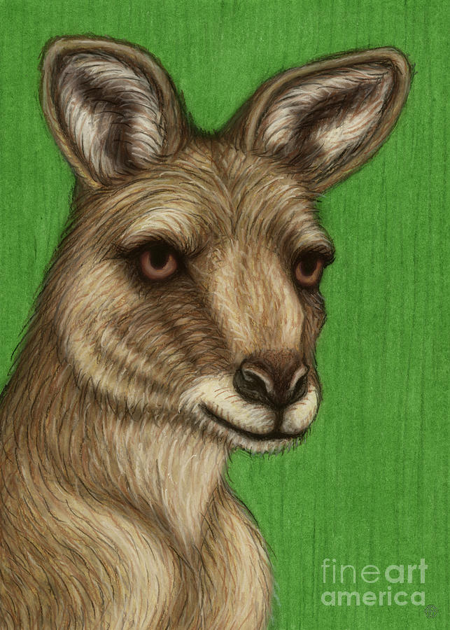 Serious Kangaroo Painting by Amy E Fraser