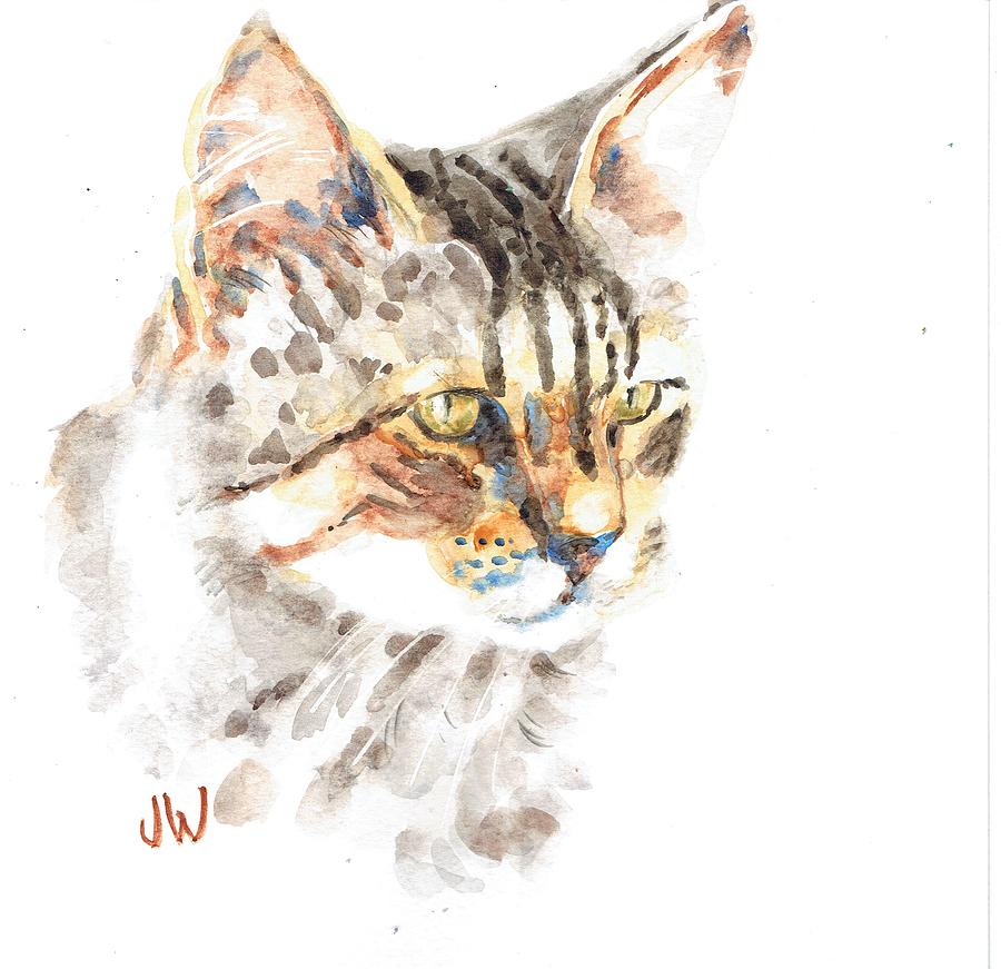 Serious kitty Painting by June Walker