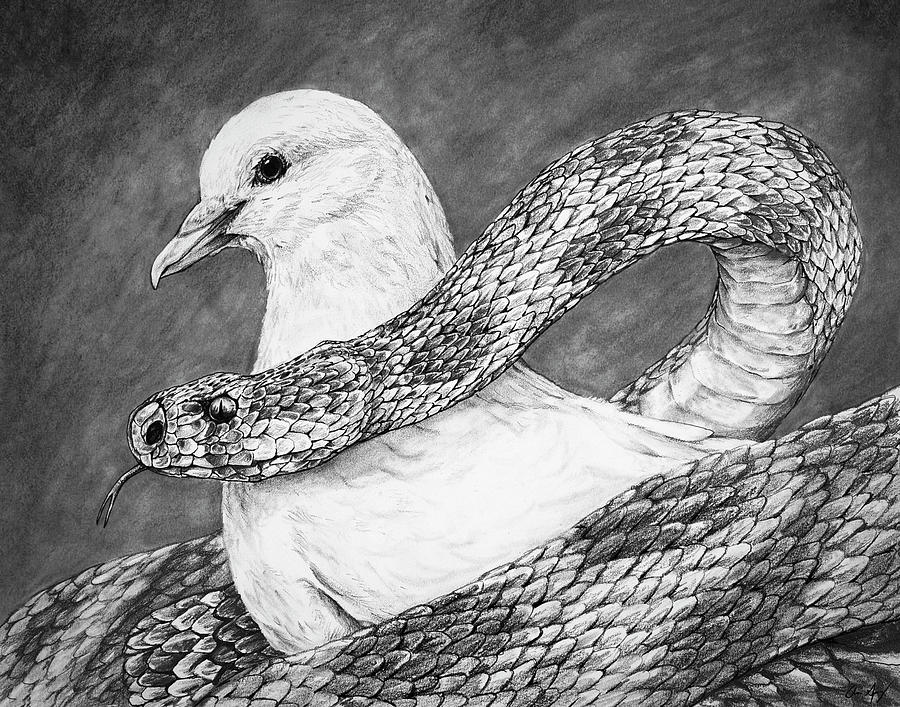 Serpent and Dove Drawing by Aaron Spong