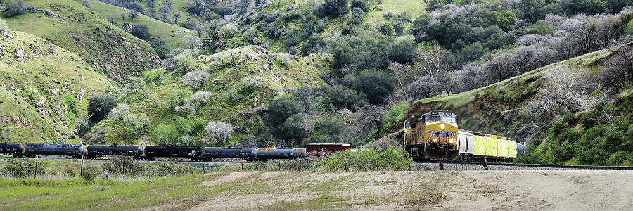 Serpent -- Union Pacific Freight Train in the Tehachapi Mountains, California Photograph by Darin Volpe