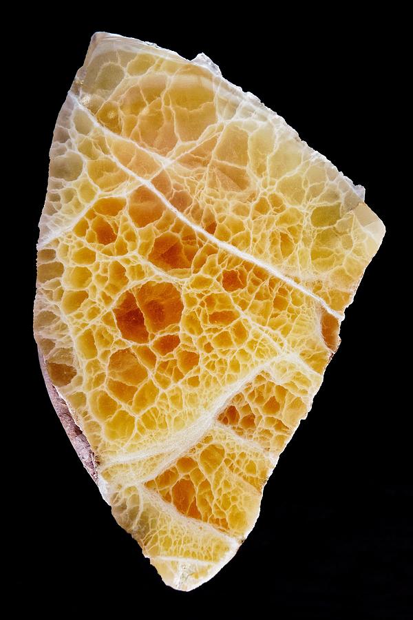 Calcite Photograph - Serpents Golden Tooth - Honeycomb Calcite by KJ Swan