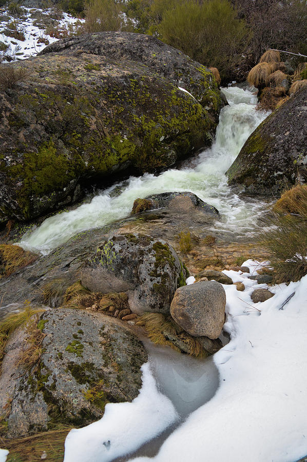 Serra da Estrela waterfalls and snow Photograph by Angelo DeVal