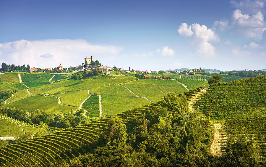 Serralunga dalba and vineyards of Langhe, Piedmont, Italy Photograph by Stefano Orazzini
