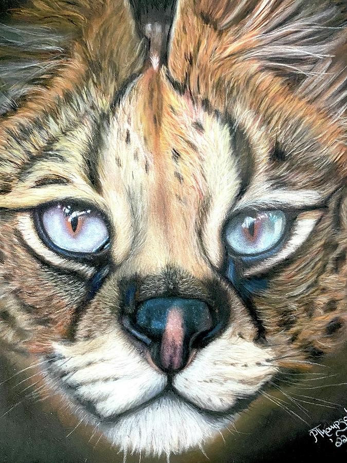 Serval Drawing by Pam Thompson | Fine Art America