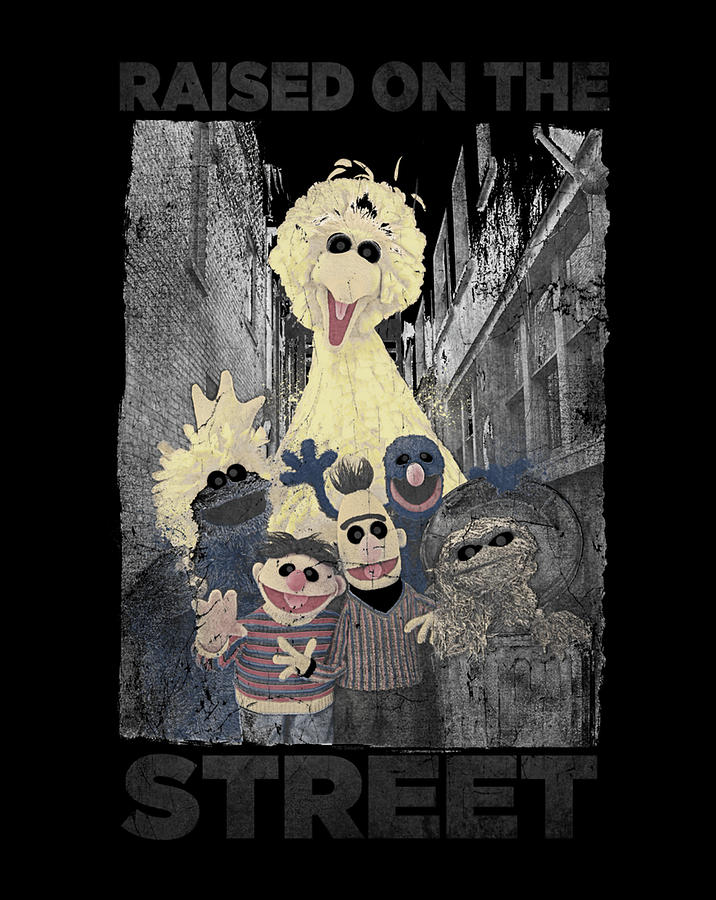 sesame street raised on the street