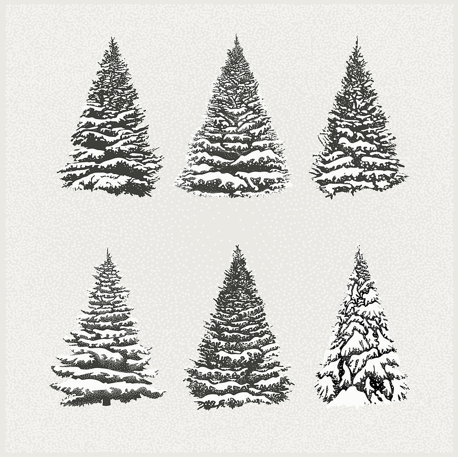 Set of Christmas Trees Drawing by AF-studio