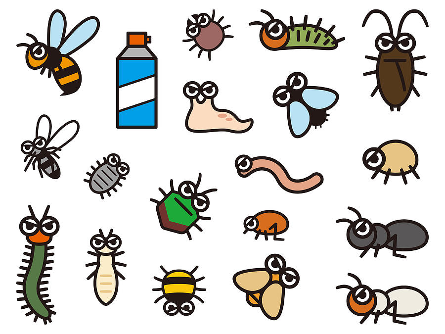 Set of deformed illustrations of pest control Drawing by Ankomando