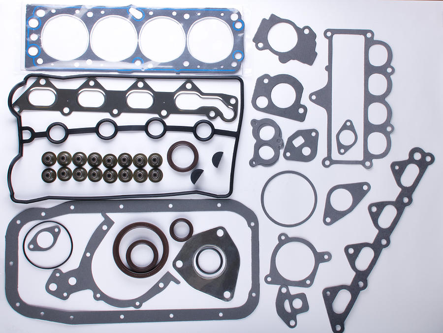 Set of gaskets for the engine Photograph by Denis_prof