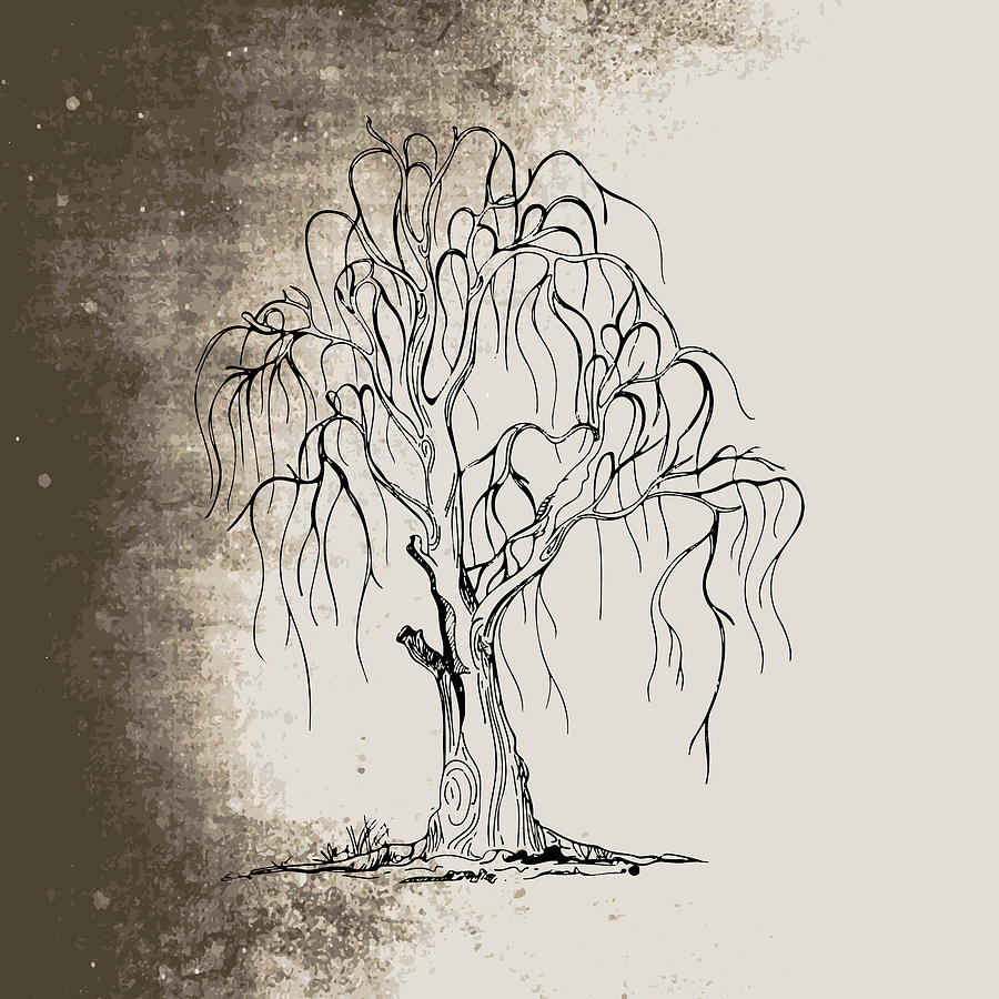 Tree Sketch Illustration High-Res Vector Graphic - Getty Images