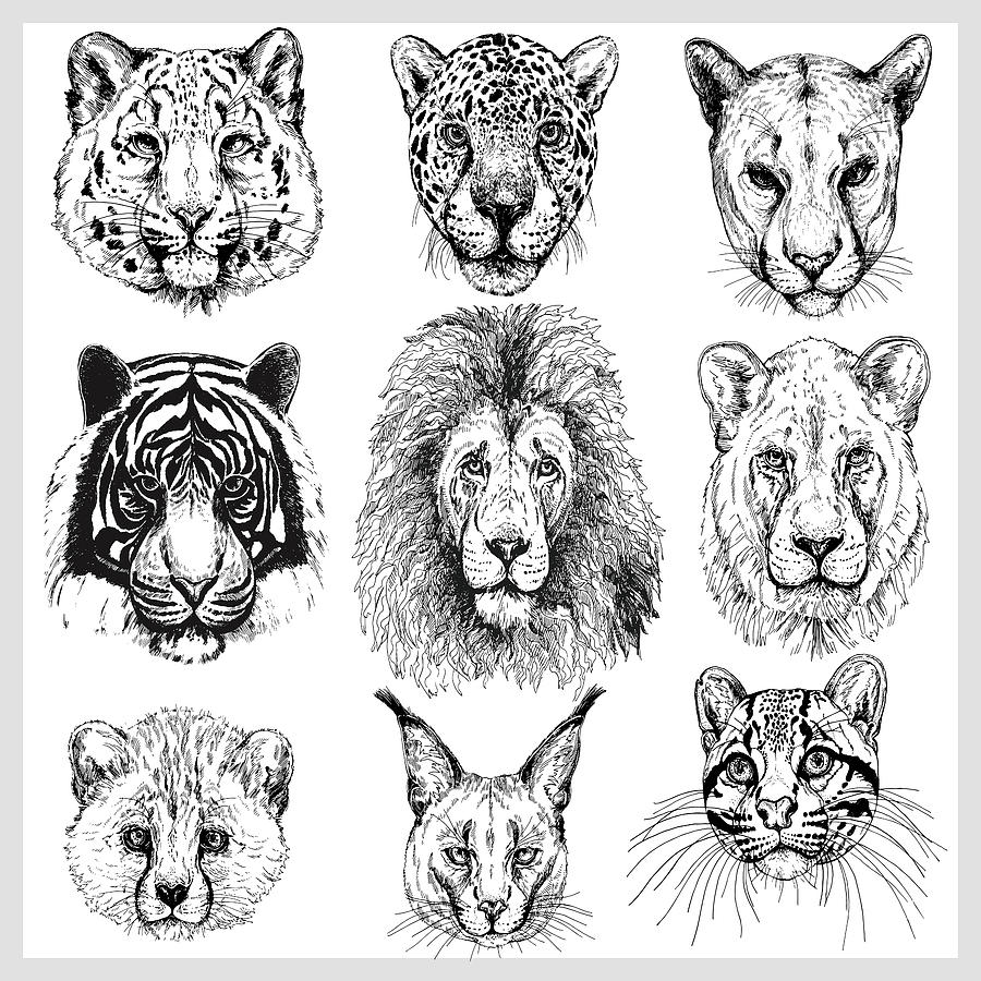 37,400+ Animal Mask Stock Illustrations, Royalty-Free Vector Graphics &  Clip Art - iStock | Child wearing animal mask, Animal mask vector, Kids  animal mask