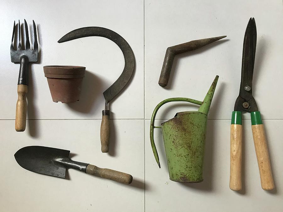 Set of Home Garden Tools Photograph by Jan Dolezal