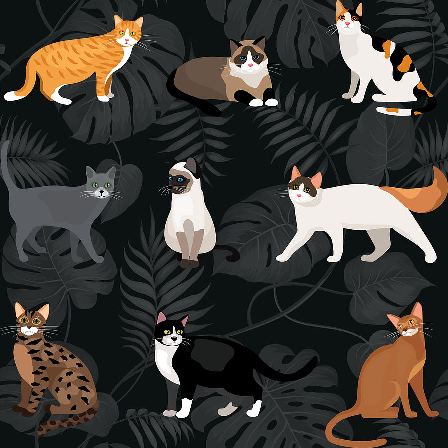 Wildlife Drawing - Set of vector cats depicting different breeds and fur color standing sitting and walking by Mounir Khalfouf