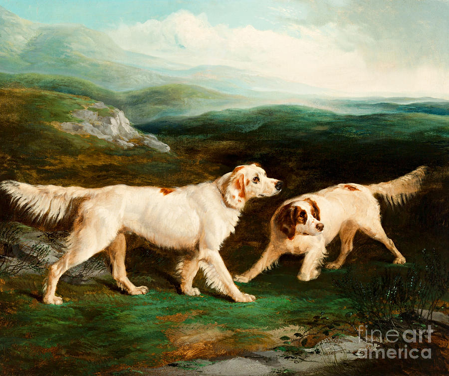 Setters in the Mountains Painting by Peter Ogden
