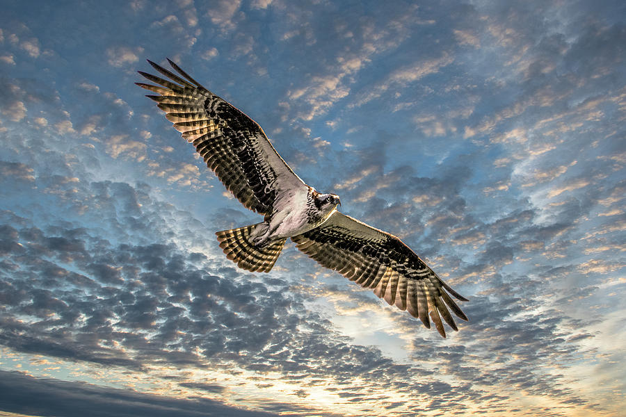 Setting Sun Photograph by Kevin Jacot | Fine Art America