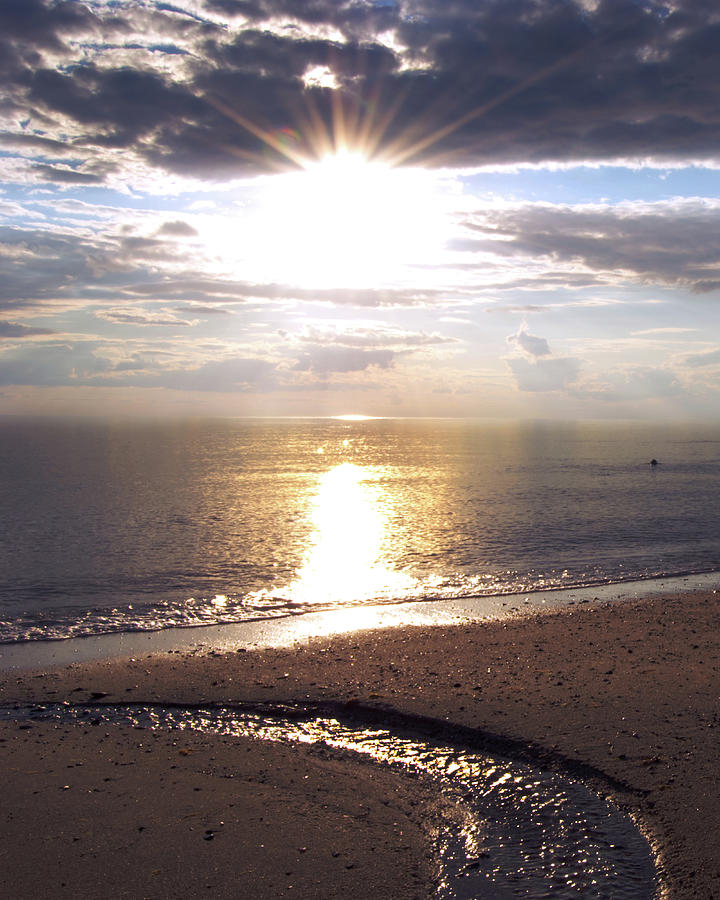 Setting Sun on Great Island - Vertical Photograph by Flinn Hackett