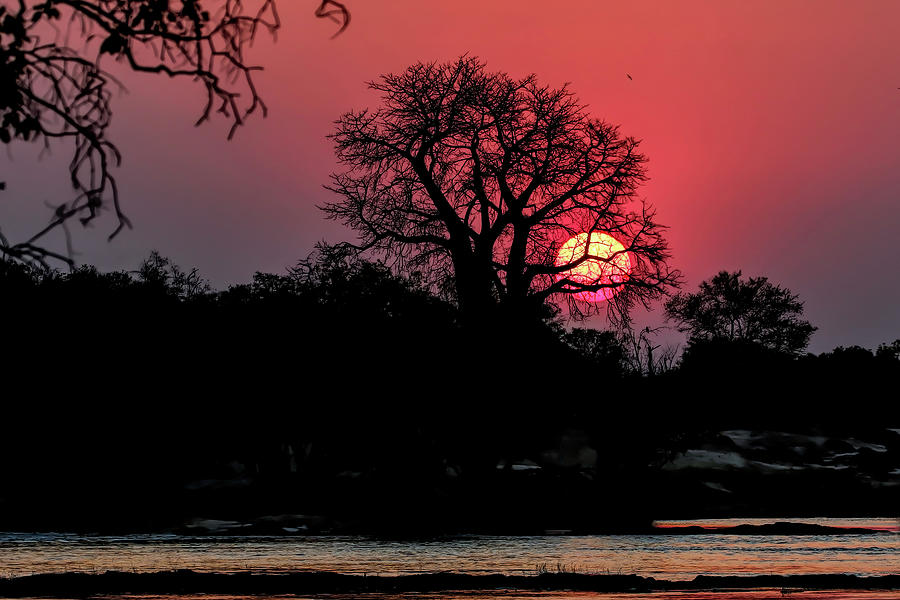 Setting Sun on the Zambezi River Photograph by Cheryl Strahl