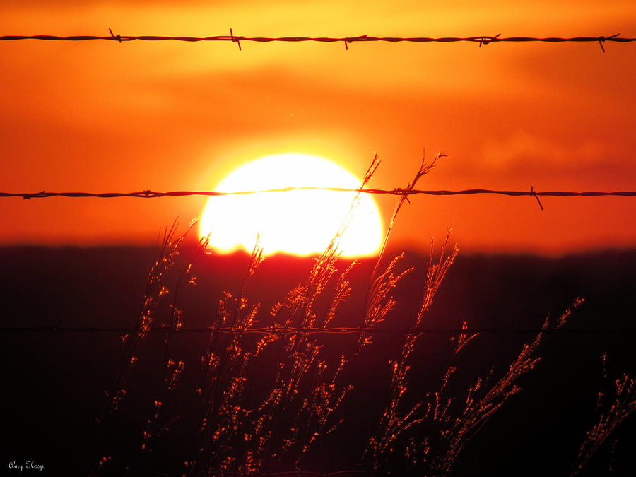 Setting Texas Sun Photograph by Amy Hosp