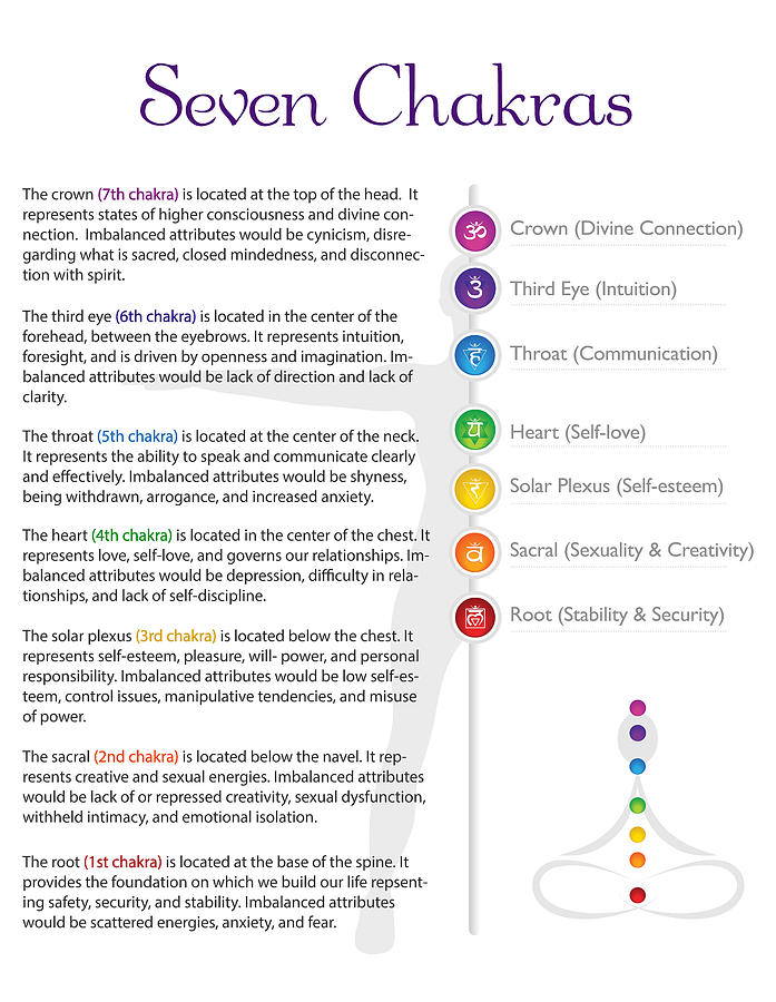 Seven Chakra Centers Poster Design Digital Art by Serena King