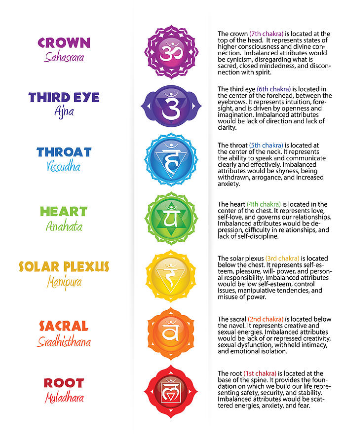 Seven Chakras Poster And Products Digital Art by Serena King