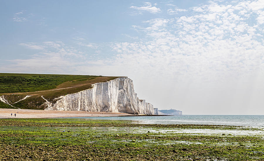 Seven Sisters Chalk Cliffs 2 Photograph by Shirley Mitchell - Fine Art ...