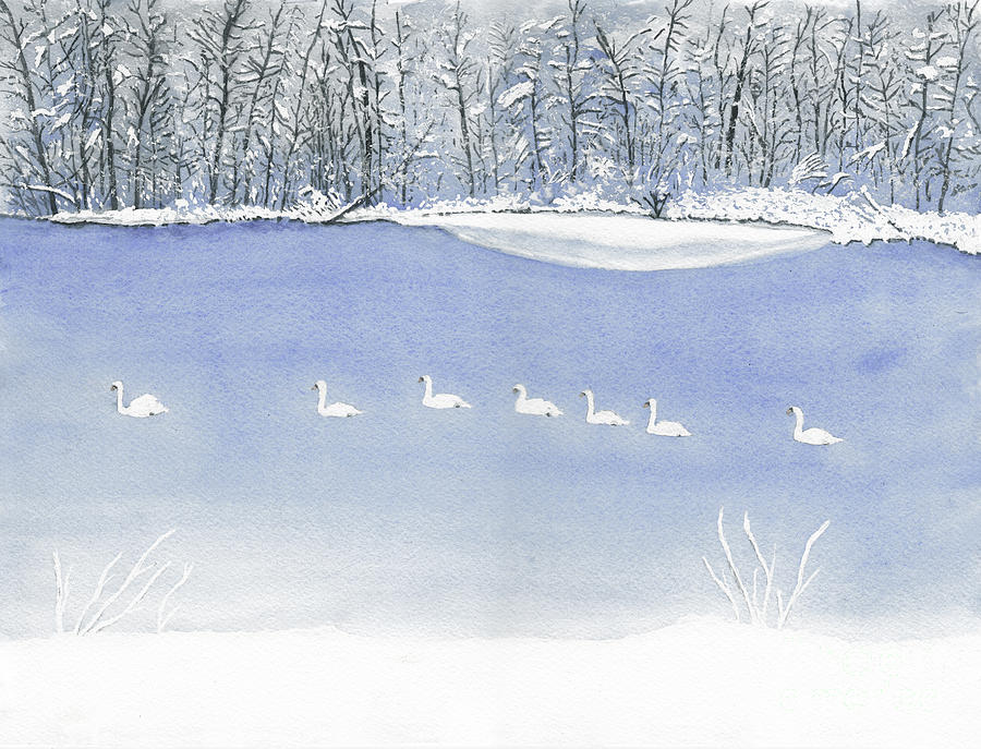 Seven Swans aswimming Painting by Conni Schaftenaar