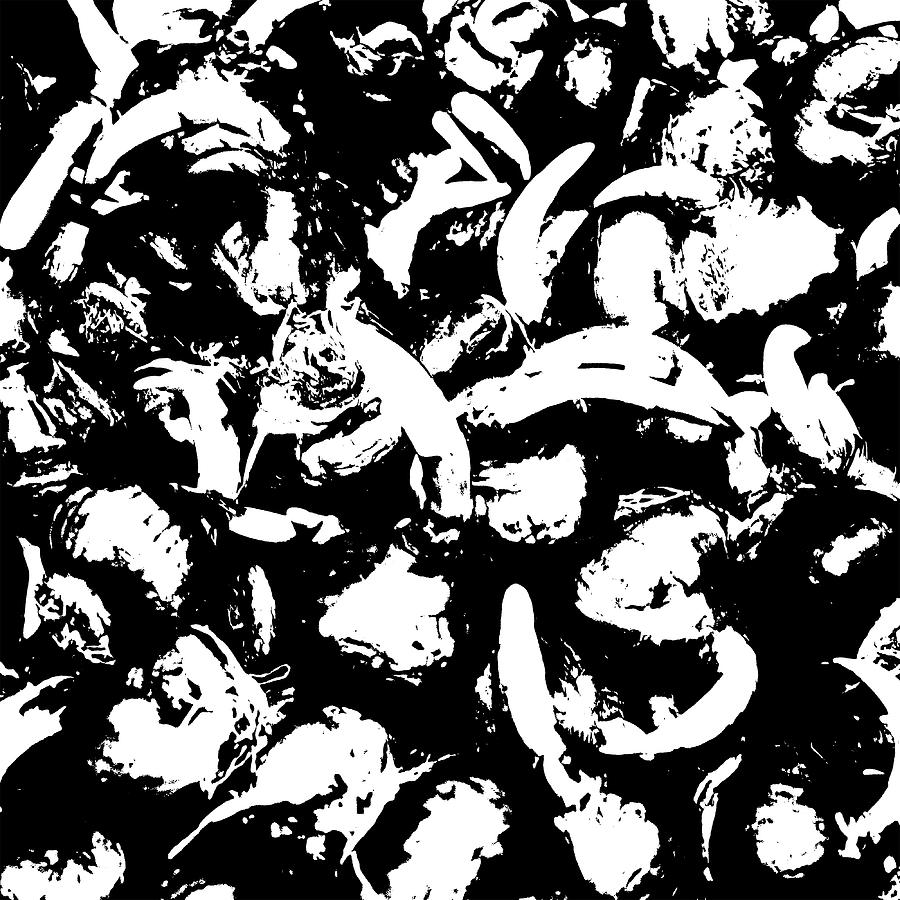 Seventeen Digital Art by Fran Hogan Seventeen Digital Art by Fran Hogan