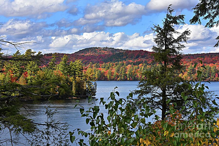 Seventh Lake Adirondacks Photograph by Diane E Berry