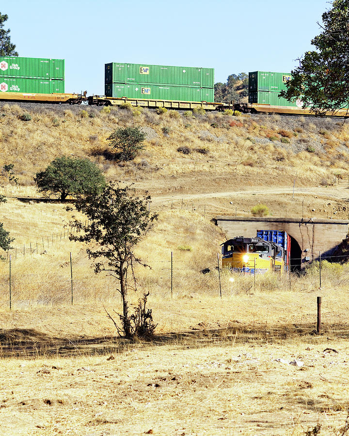 Peeking Out From Below -- Union Pacific Freight Train on The Tehachapi Loop, California Photograph by Darin Volpe
