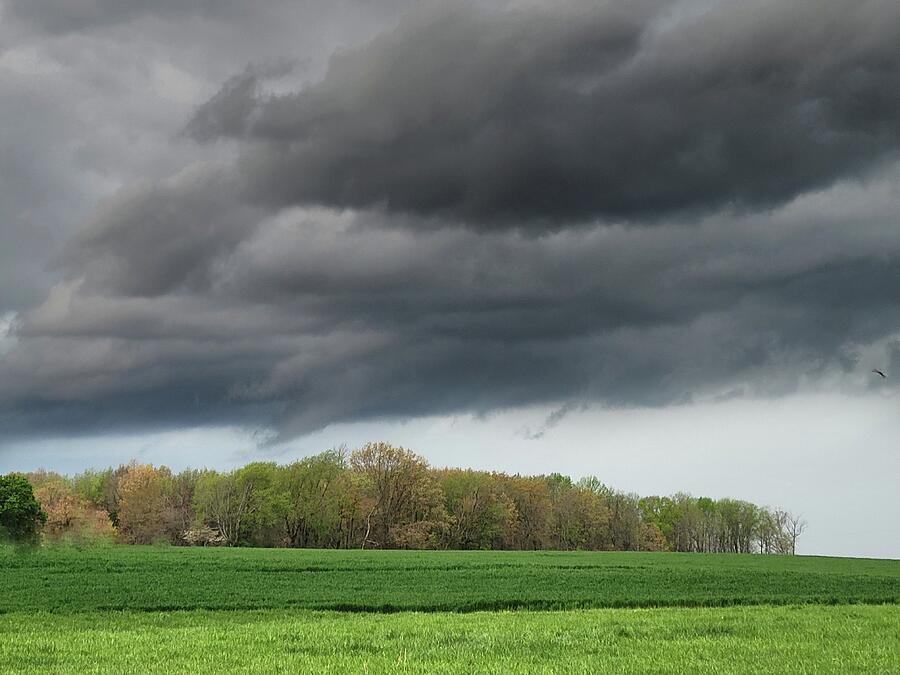Severe Storm In Tennessee Photograph by Ally White Severe Storm In Tennessee Photograph by Ally White