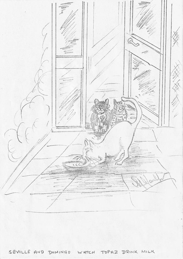 Seville And Domingo Watch Topaz A Stray Cat Eat Food In Spain Drawing by Mackenzie Moulton