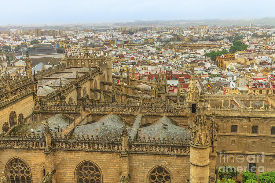 Seville Cathedral aerial Photograph by Benny Marty