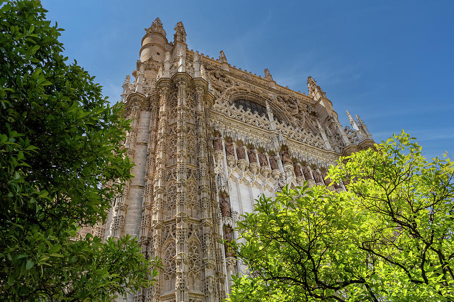 Seville Cathedral Photograph by Betty Eich