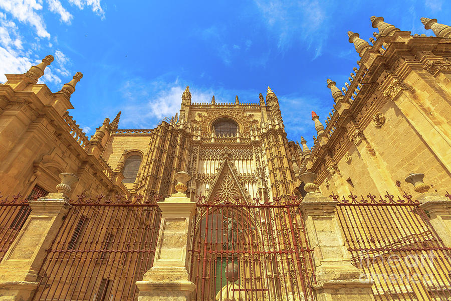 Seville Cathedral door Photograph by Benny Marty
