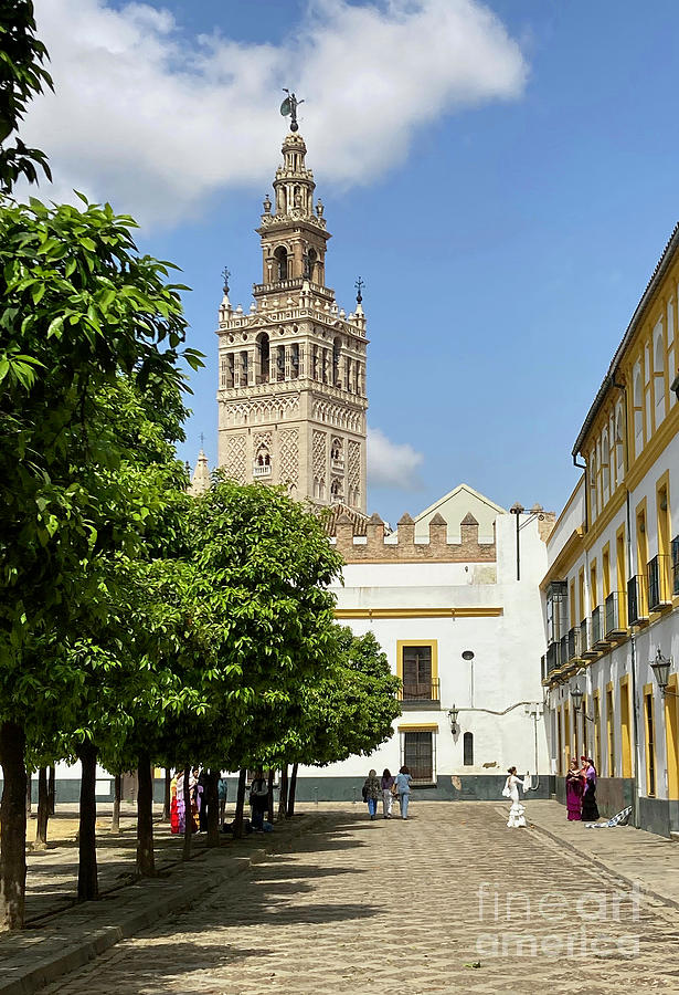 Seville Cathedral from Patio de Banderas Photograph by Phil Banks