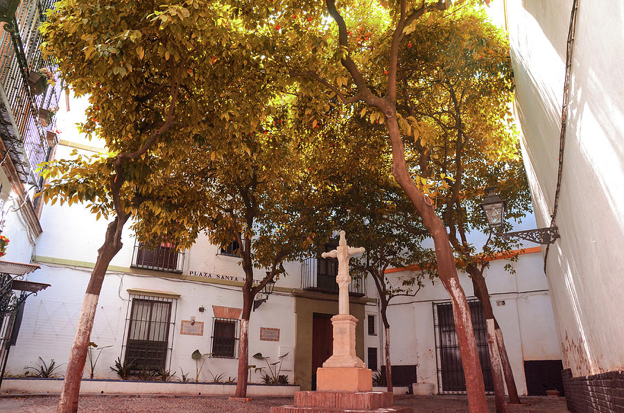 Seville, Plaza de Santa Marta Photograph by AM FineArtPrints