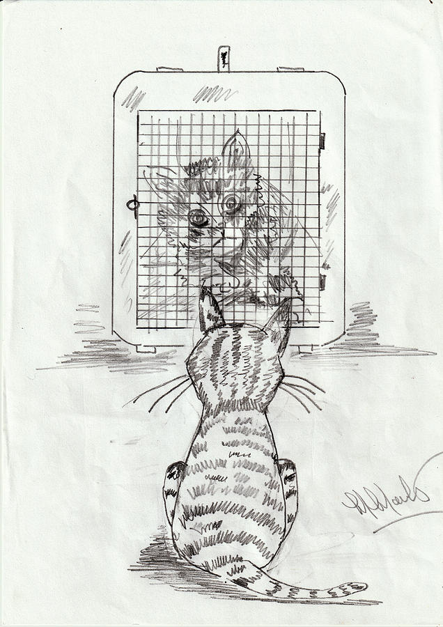 Seville Tells Domingo, I Told You Not To Go In That Box Drawing by Mackenzie Moulton