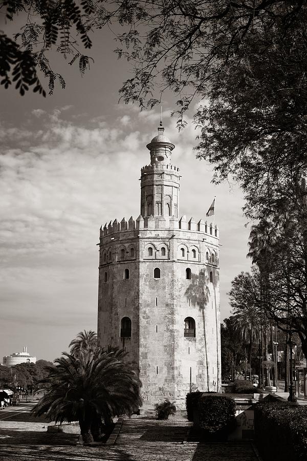 Seville Torre del Oro  Photograph by Songquan Deng