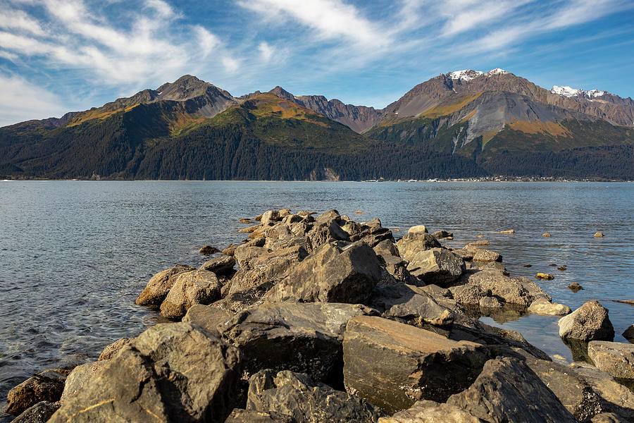 Seward Alaska Coastal Elegance Photograph