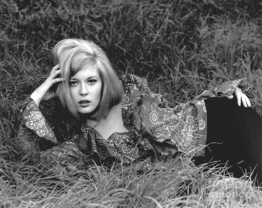 Sexy Faye Dunaway On The Grass Photograph By Michael Butkovich Fine