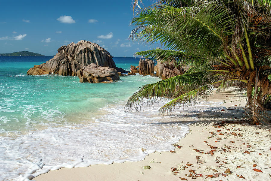 Seychelles - Anse Patates beach at La Digue island Photograph by Olivier Parent