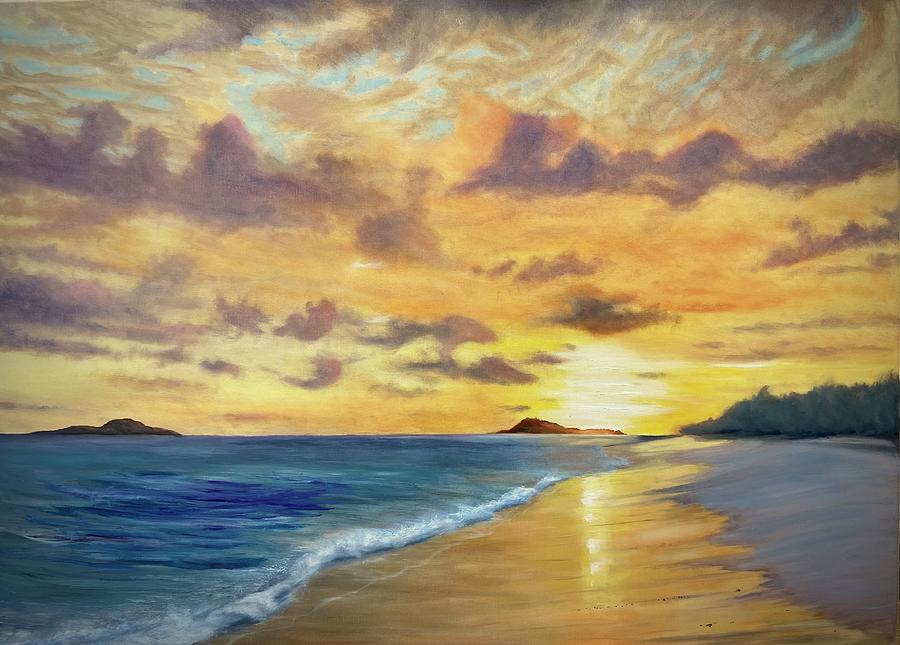 Sunset Painting - Seyschelles sunset by Heather Matthews