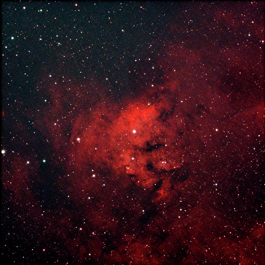 SH2-171, Teddy Bear Nebula Photograph by Peter Ponzio